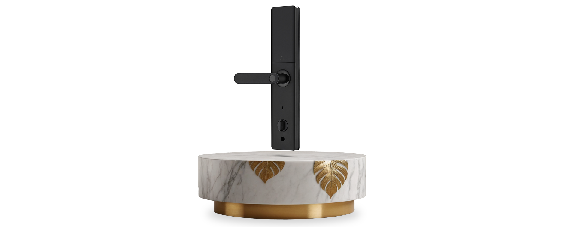 Aligarh Smart Locks